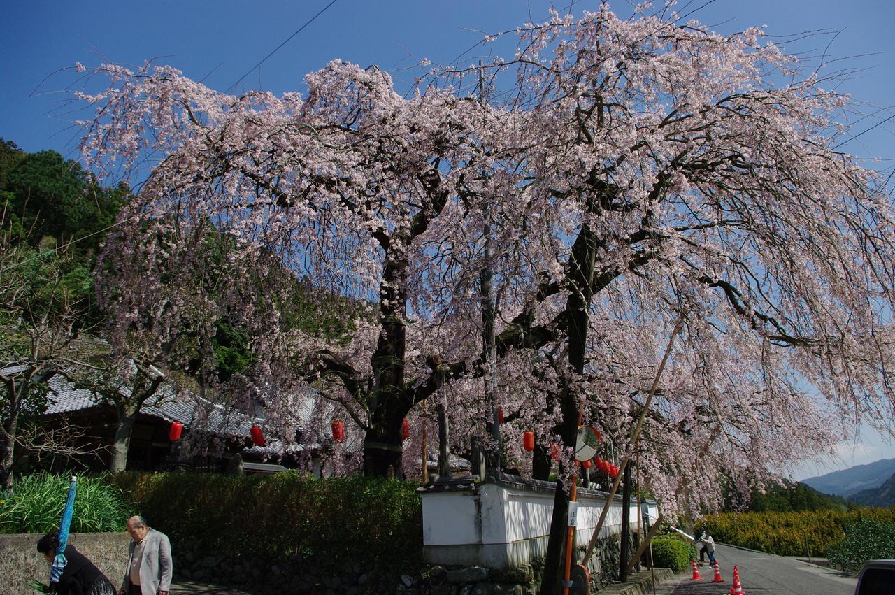 Kamiyama Onsen Hotel Shikinosato & Iyashinoyu Tokushima Eksteriør bilde